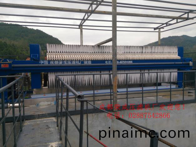 尾(wei)鑛(kuang)處理應用(yong)案例2